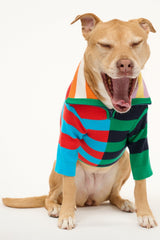 Pet Hampton Sweater | Cabana Stripe Multi