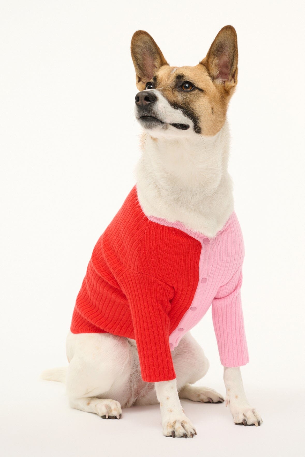 Pet Shoko Sweater | Poppy Rosebud