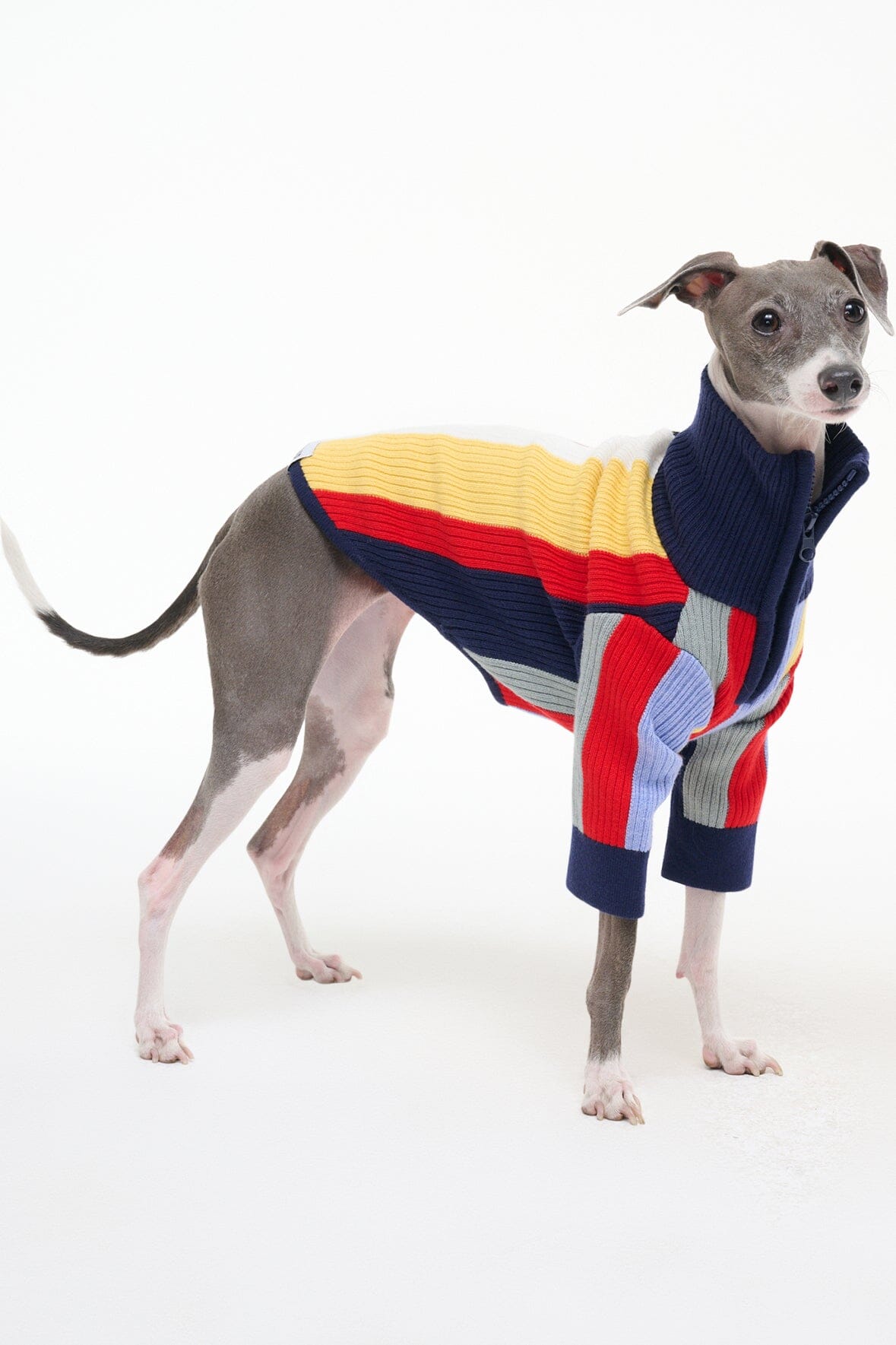 Pet Hampton Sweater | Market Stripe