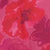 Calluna Dress | Magenta Painted Floral